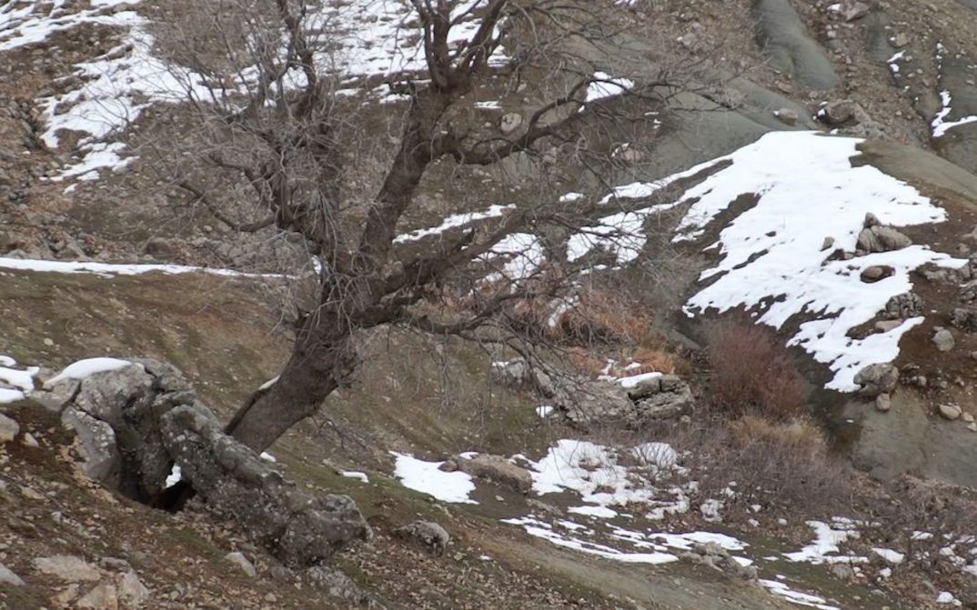 Filmstill aus WHO IS AFRAID OF IDEOLOGY, PART 1: Eine menschenleere Landschaft mit Steinen und Bäumen, teilweise von Schnee bedeckt. 