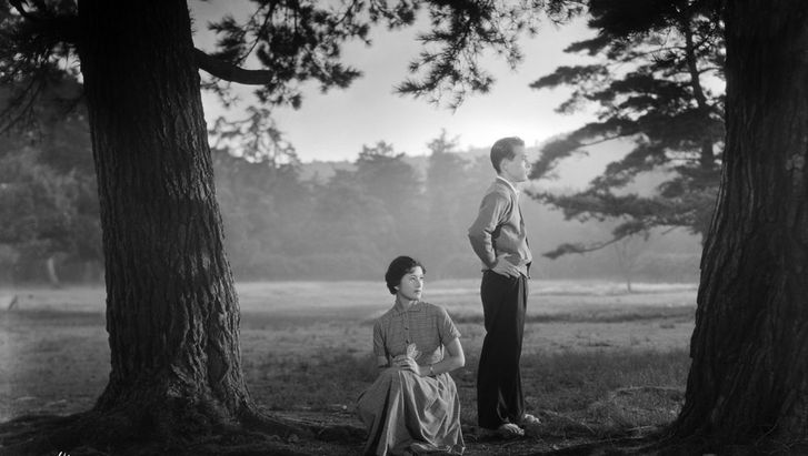  A woman and a man on a meadow between two trees, both looking into the distance on the right.