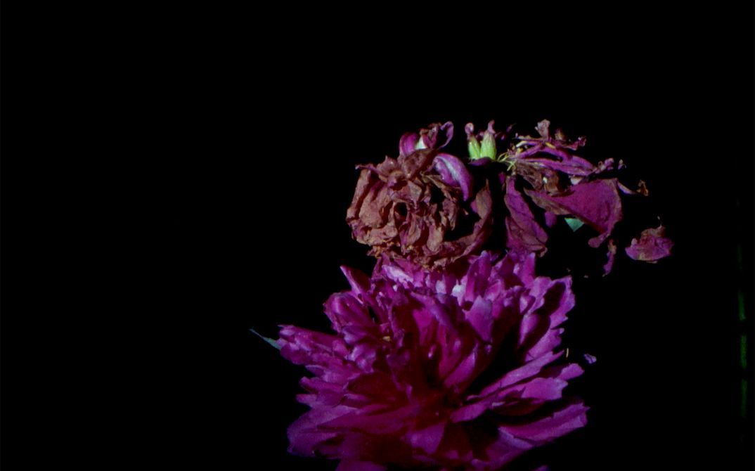 Kevin Jerome Everson, MAY JUNE JULY (Still)