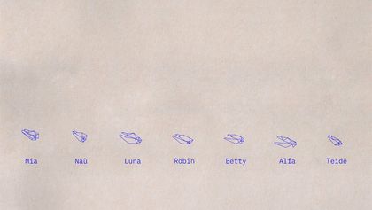 Im unteren Abschnitt eines cremefarbenen Hintergrunds ist eine Ansammlung von sieben Clustern aus blauen Punkten und Linien zu sehen. Unter jedem Clust steht ein Name: Mia, Naù, Luna, Robin, Betty, Alfa, Teide.