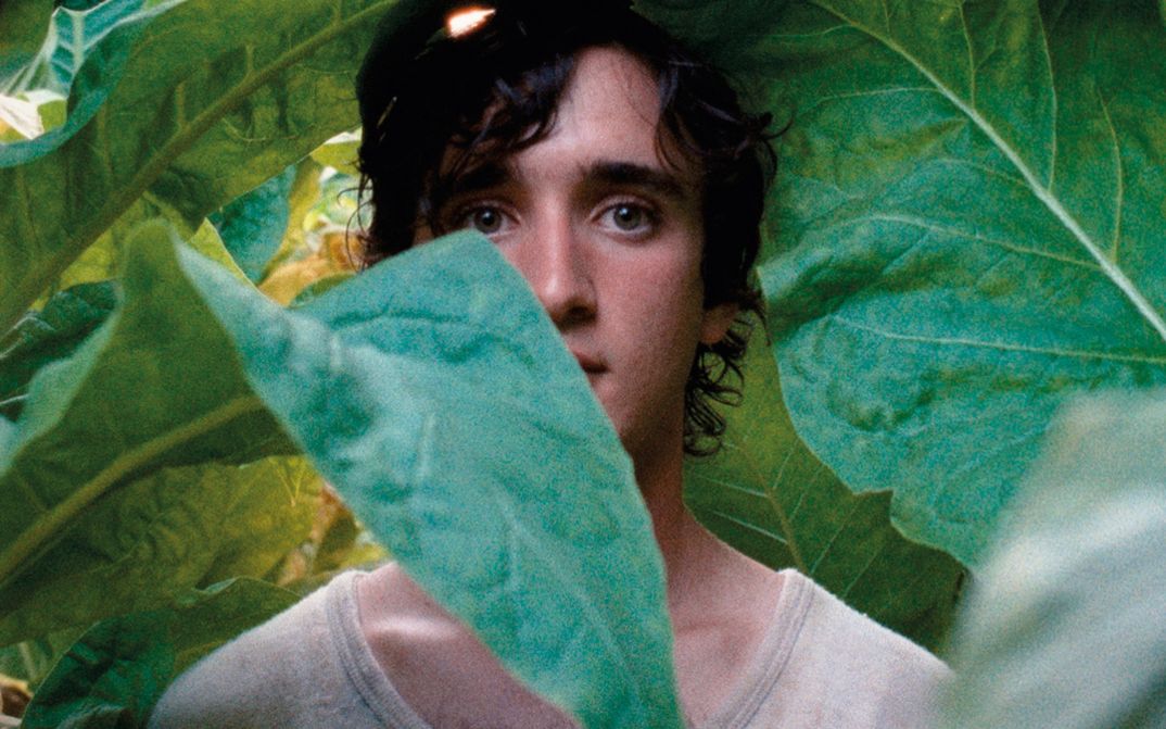 Filmstill aus LAZZARO FELICE. Ein junger Mann wird von großen Blättern halb bedeckt.