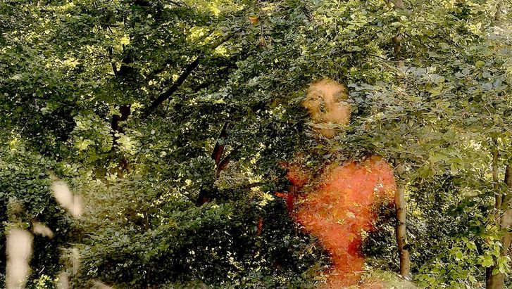 Film still from HOPE AGAINST HOPE: You can see dense leaves on trees, and the image of a woman in a red sweater is blurred into the picture.