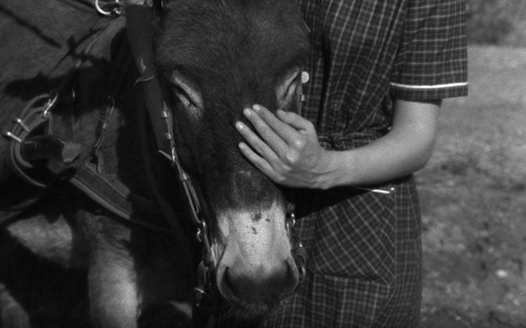 Filmstill aus AU HASARD BALTHAZAR: Eine Person steht neben einem Esel und legt die Hand auf sein Gesicht.