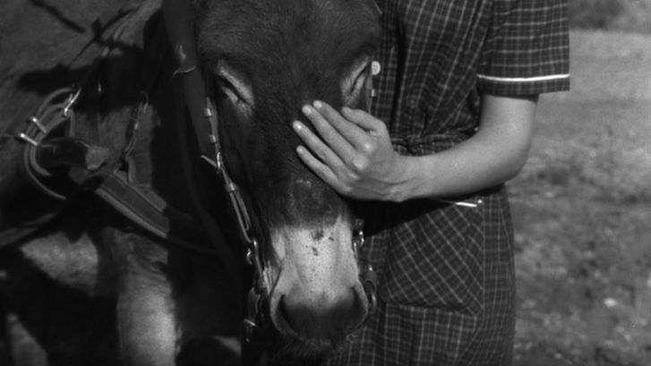 Film still from AU HASARD BALTHAZAR: A person stands next to a donkey and puts their hand on its face.