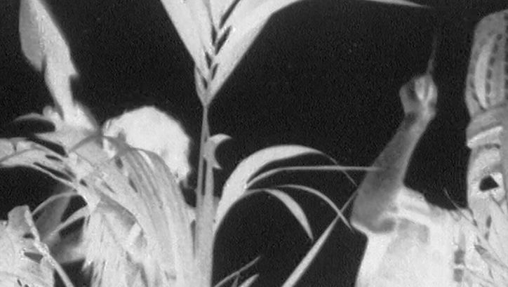 Filmstill aus MOURIR uN PEU 