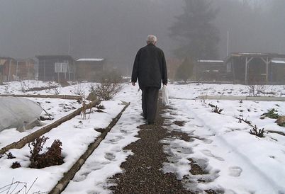 Bild aus Vaters Garten