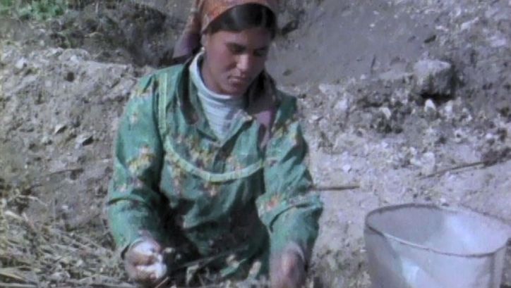 Filmstill aus IQA’ AL-HAYA: Eine Frau arbeitet auf einem Feld.