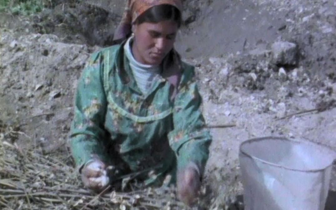 Filmstill aus IQA’ AL-HAYA: Eine Frau arbeitet auf einem Feld.