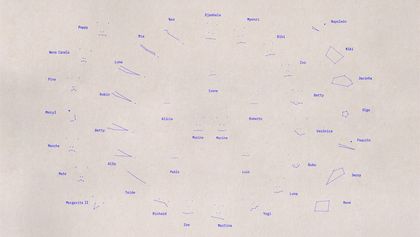 Ein Kompedium verschiedener Gesichtserkennungs-“Scans” von verschiedenen Tieren, neben ihren Namen. Hier sind die Scans auf wenige Punkte und Linien reduziert. 