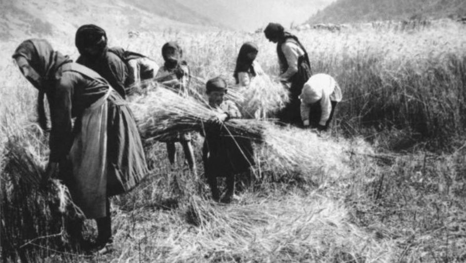 Film still from BUBA: Black and white picture of some women and children harvesting grain.