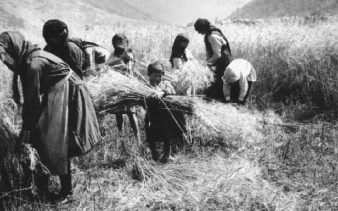 Filmstill aus BUBA: Schwarz-Weiß-Aufnahme von einigen Frauen und Kindern bei der Getreideernte.