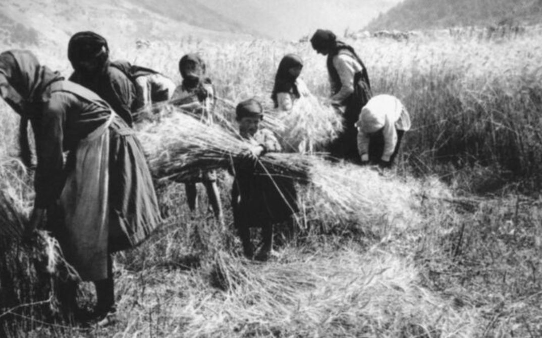 Film still from BUBA: Black and white picture of some women and children harvesting grain.