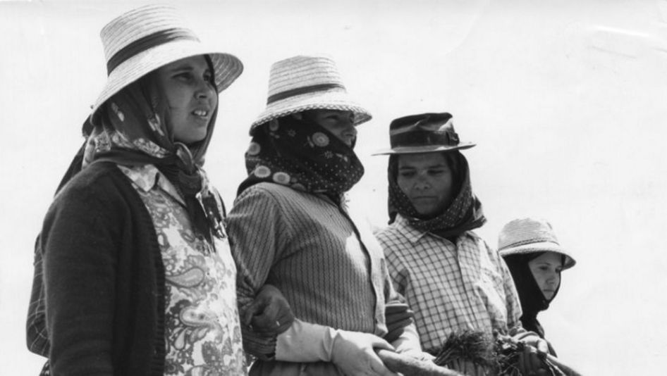 Film still from BOM POVO PORTUGUÊS: Four women in work clothes and hats stand next to each other in a field, some of them holding vegetables in their hands.