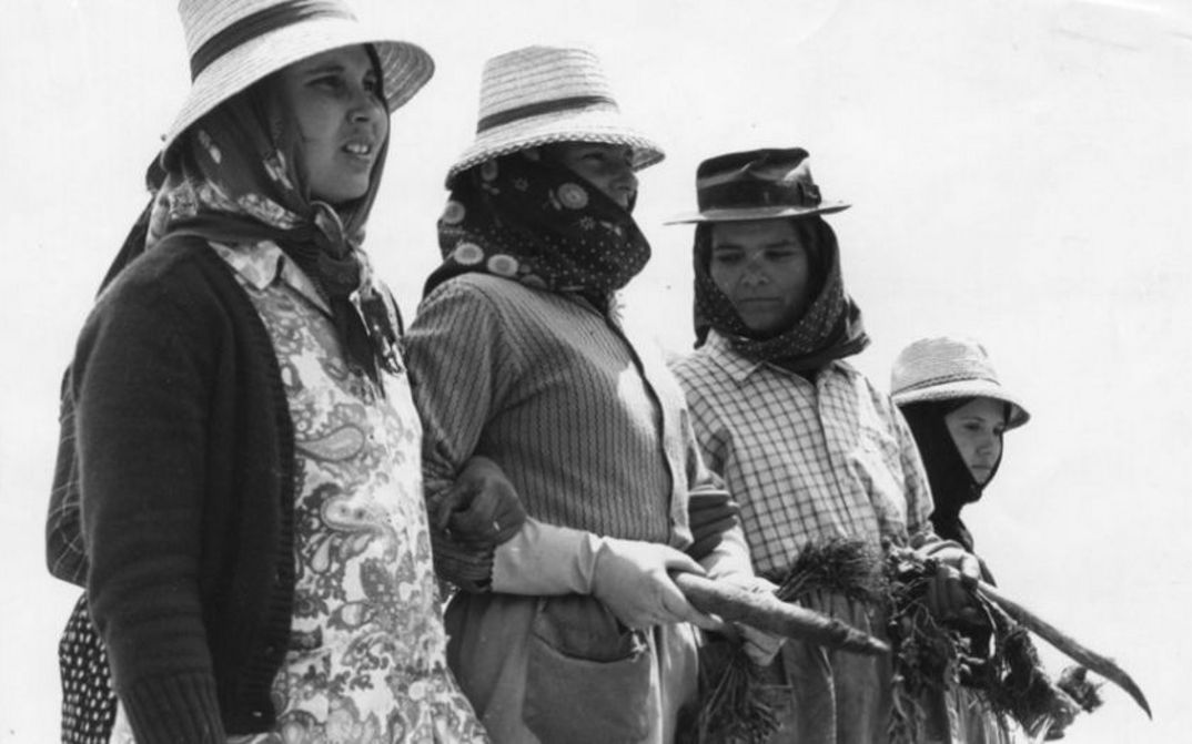 Film still from BOM POVO PORTUGUÊS: Four women in work clothes and hats stand next to each other in a field, some of them holding vegetables in their hands.