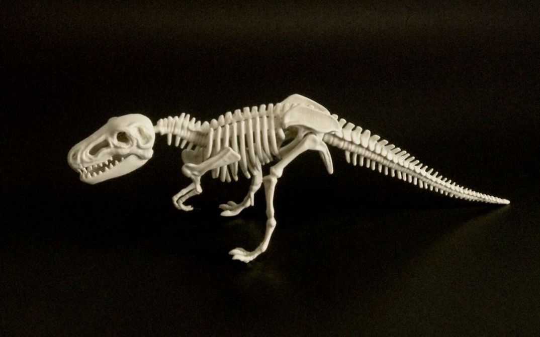 Film still from LITLE BOY by James Benning. The image shows a white toy dinosaur skeleton against a black background.