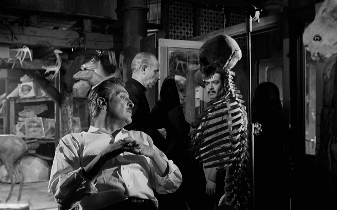 Filmstill aus EL ESQUELETO DE LA SEÑORA MORALES: Eine Gruppe von Menschen in einem Raum voller Skelette und Tierpräparate.