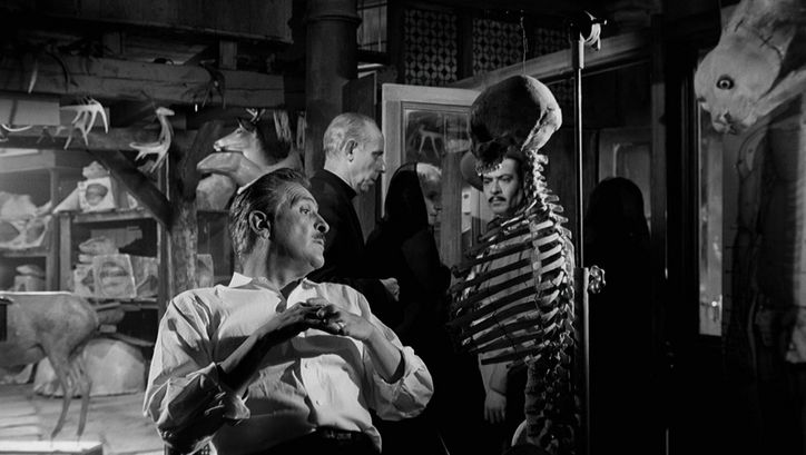 Film still from EL ESQUELETO DE LA SEÑORA MORALES: A group of people in a room full of skeletons and animal specimens.