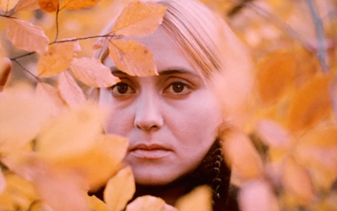 Film still from THE WHITE BIRD MARKED WITH BLACK: A blonde woman looks into the camera, she is half hidden by yellow colored leaves.