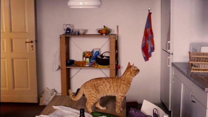 Filmstill aus DAS MERKWÜRDIGE KÄTZCHEN: In einer Küche steht eine Katze auf dem Tisch.