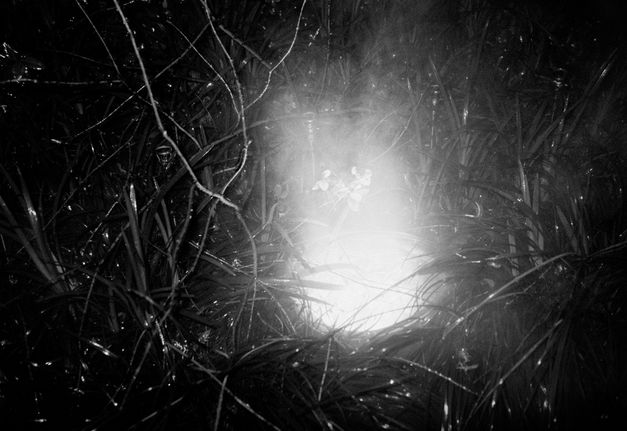 Still from the film "Jet Lag" by Zheng Lu Xinyuan. Black-and-white image of a glowing white light surrounded by grass and twigs.