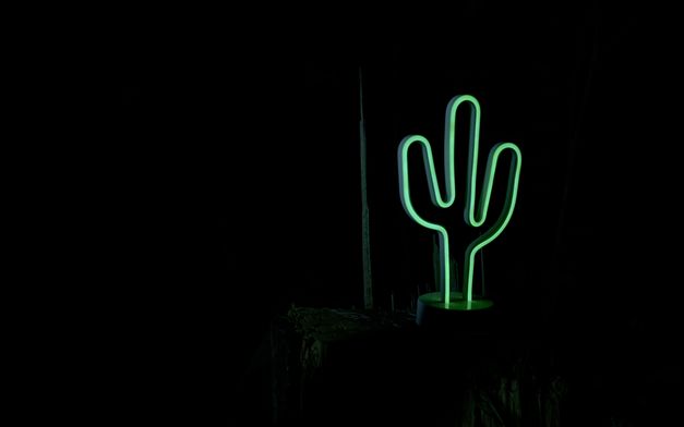 Filmstill aus dem Film „I Don’t Want to Be Just a Memory“ von Sarnt Utamachote. Eine grüne Leuchtröhre in Form eines Kaktus leuchtet im Dunkeln.