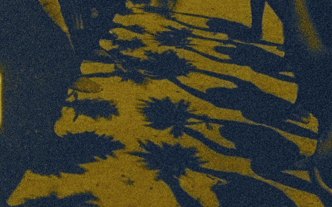 Filmstill aus LA MEMORIA DE LAS MARIPOSAS von Tatiana Fuentes Sadowski. Auf dem Bild sieht man die Schatten von zwei Reihen von Menschen, die die Sonne zwischen ihnen auf den Boden wirft.