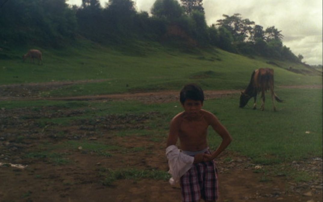 Film still from LUKAS THE STRANGE: A boy is standing in a meadow and has taken off his T-shirt. Behind him are grazing cows.