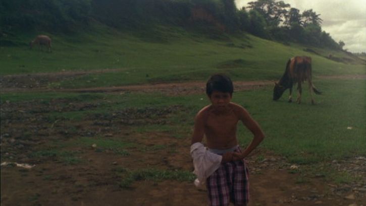 Film still from LUKAS THE STRANGE: A boy is standing in a meadow and has taken off his T-shirt. Behind him are grazing cows.