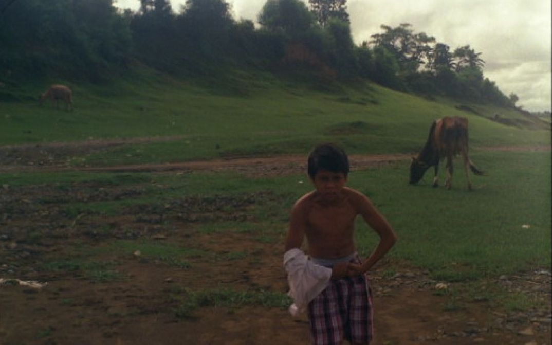 Film still from LUKAS THE STRANGE: A boy is standing in a meadow and has taken off his T-shirt. Behind him are grazing cows.