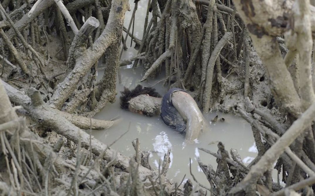 Filmstill aus RESONANCE SPIRAL: Zu sehen ist eine mit Schlamm bedeckte Person in einem Teich voller Baumwurzeln und Äste.