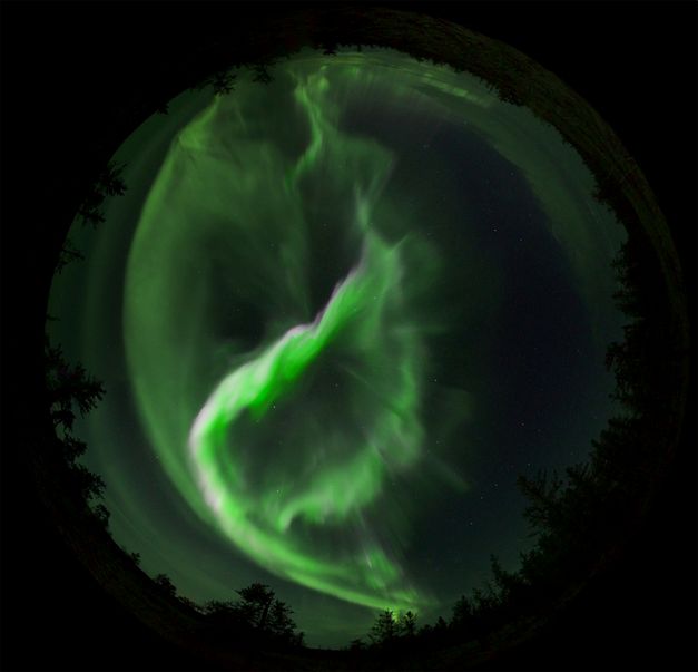 Film still from von Lisa Jackson and The Macronauts’s film “Wilfred Buck’s Star Stories”. An extended reality experience immerses us in a nocturnal spectacle where the northern lights dance above the treetops, unfolding across a starlit sky.