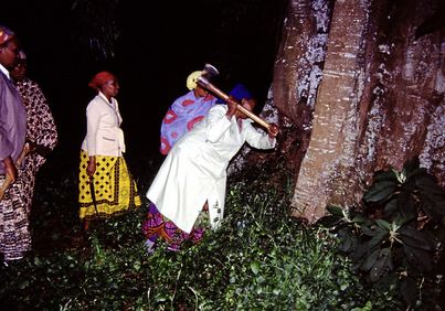 Still from the film „Der Kampf um den heiligen Baum" by Wanjiru Kinyanjui. It shows a group of people standing in the dark in front of a tree. A woman is swinging an axe towards the tree trunk.