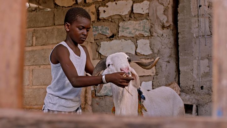 Filmstill aus LE MOUTON DE SADA von Pape Bouname Lopy