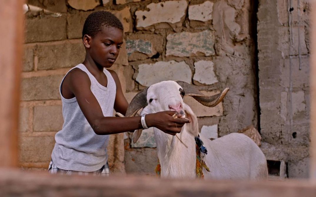 Filmstill aus LE MOUTON DE SADA von Pape Bouname Lopy