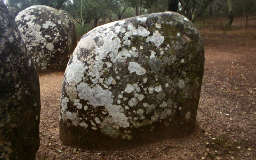 Film still from LAST THINGS: A large, almost round stone with lichen. There are more stones and trees in the background.