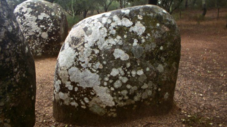 Film still from LAST THINGS: A large, almost round stone with lichen. There are more stones and trees in the background.