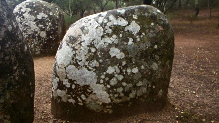 Film still from LAST THINGS: A large, almost round stone with lichen. There are more stones and trees in the background.