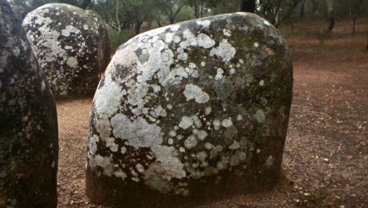 Film still from LAST THINGS: A large, almost round stone with lichen. There are more stones and trees in the background.