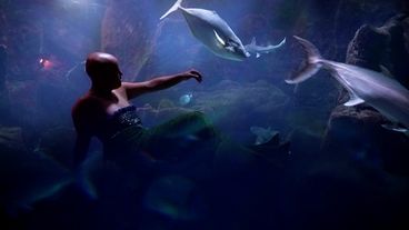 Still from the film "Super Natural". A bald person in a mermaid costume appears to be under water and surrounded by fishes. 