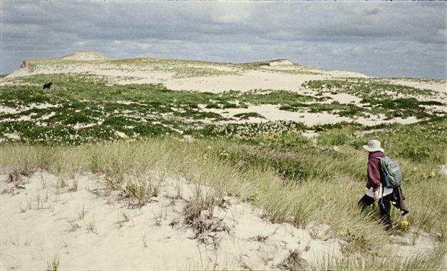 Still from the film "Geographies of Solitude" by Jacquelyn Mills. We see a woman with a maroon sweater and a beige bucket hat walking with her back turned through a grassy and sandy landscape. 