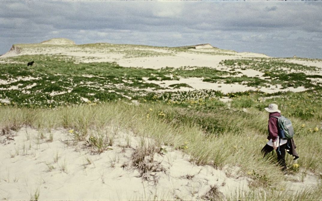 Still from the film "Geographies of Solitude" by Jacquelyn Mills. We see a woman with a maroon sweater and a beige bucket hat walking with her back turned through a grassy and sandy landscape. 