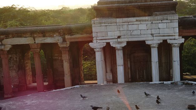 Film still from the film "No Stranger at All" by Priya Sen. A low sun shines on a temple ruin. Pigeons can be seen on the court. 