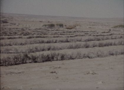 Filmstill aus "Techqua Ikachi, Land – mein Leben" von Anka Schmid, James Danaqyumptewa und Agnes Barmettler