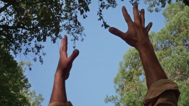 Film still from FOGO DO VENTO: Two arms stretched into the air, you can see treetops and the blue sky.