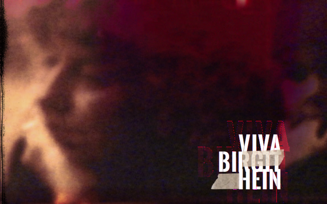 Buchcover "Viva Birgit Hein"
