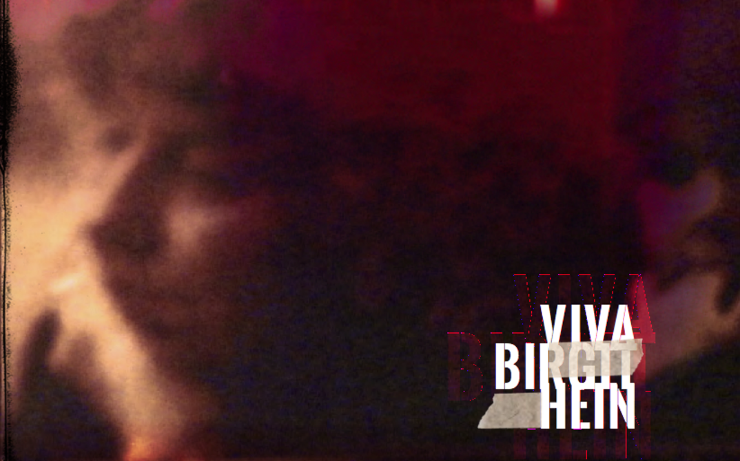Buchcover "Viva Birgit Hein"
