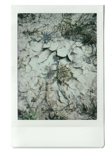Polaroid of cracked desert earth surrounded by scattered weeds, seen from above.