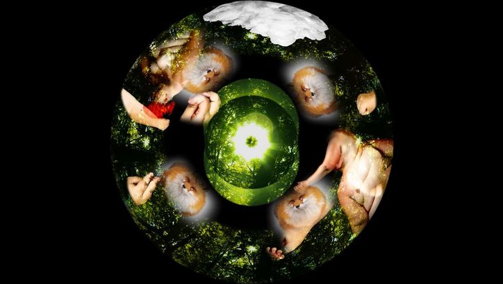 Still from the film "White Sands Crystal Foxes" by Liz Rosenfeld. Round abstract still showing foxes, hands and naked bodies.