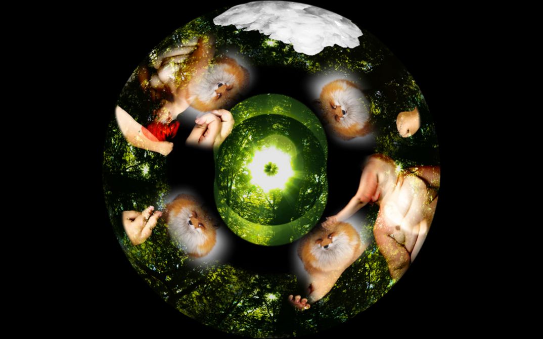 Still from the film "White Sands Crystal Foxes" by Liz Rosenfeld. Round abstract still showing foxes, hands and naked bodies.