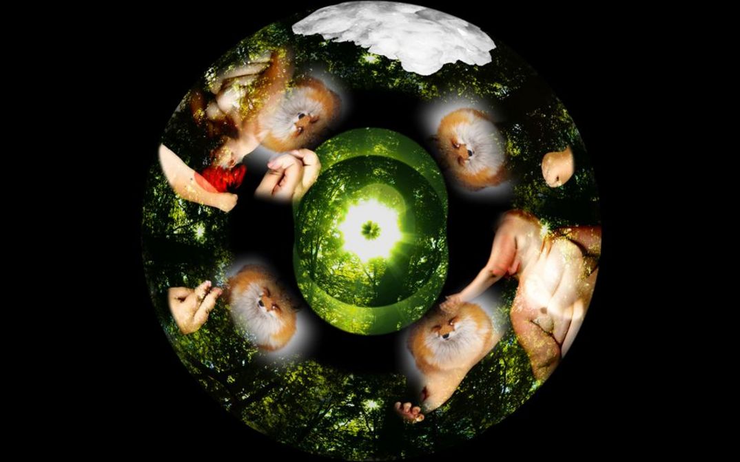 Filmstill aus dem Film "White Sands Crystal Foxes" von Liz Rosenfeld. Rundes, abstraktes Still auf dem Füchse, Hände und nackte Körper zu sehen sind.